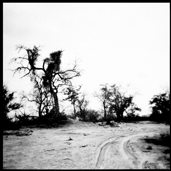 "Salute" is a photographic work by Annelize Bester. The photo is among other Holga Photography produced for "The Children of Botswana"