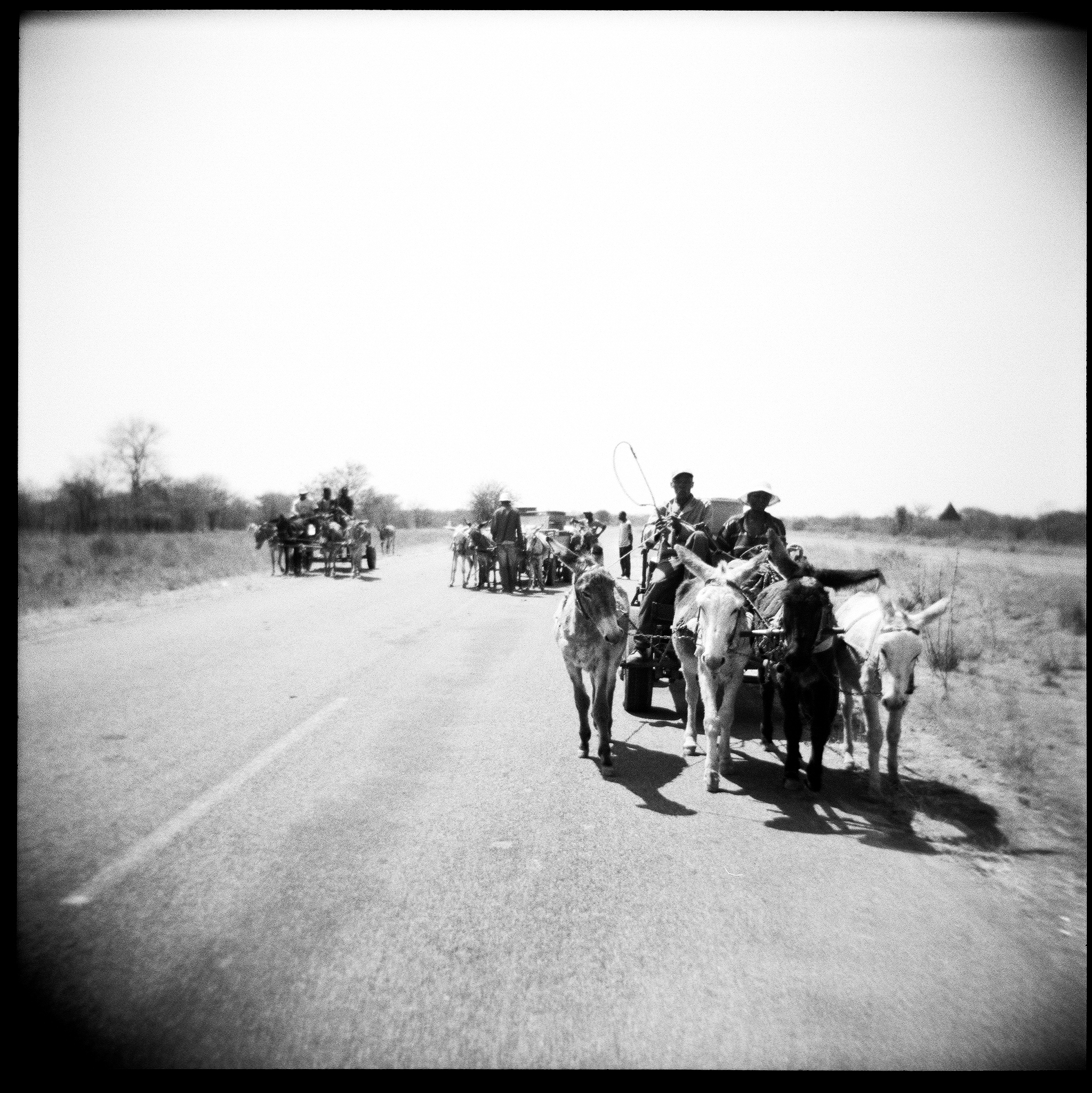 A black-and-white photograph © Annelize Bester, Mahalapye, Botswana, Africa, 2007, depicting three donkey-drawn water carts local residents collecting water.